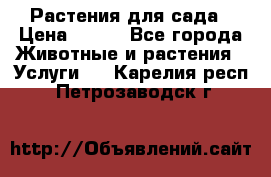 Растения для сада › Цена ­ 200 - Все города Животные и растения » Услуги   . Карелия респ.,Петрозаводск г.